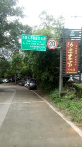 Lunch in Longquan