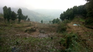 Biking down longquan mountain